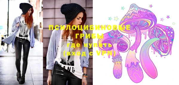 PSILOCYBIN Абинск