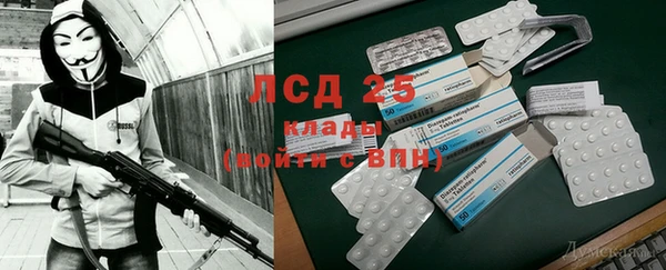 стаф Новодвинск