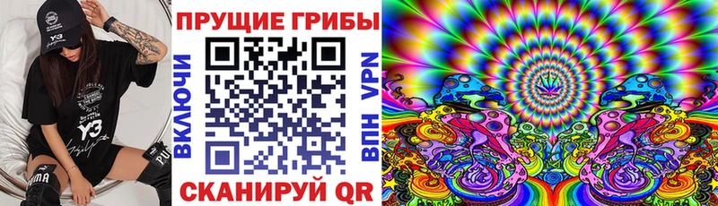 Псилоцибиновые грибы Magic Shrooms  Астрахань 